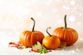 Autumn holiday background with pumpkins