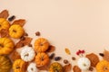 Autumn composition from pumpkins, dried foliage, pinecones and acorns top view. Thanksgiving day, harvest, autumn and fall concept