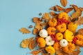 Autumn holiday from pumpkins, foliage, pinecones, berry and acorns top view. Thanksgiving day, harvest, autumn and fall