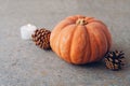 Autumn holiday still life with orange pumpkin, pine cones and candle light. Copy space Royalty Free Stock Photo