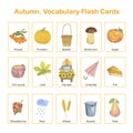 Autumn holiday, Thanksgiving English vocabulary learning printable flash cards, educational topical worksheet for kids, nursery