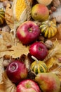 Autumn holiday Thanksgiving. Still life with pumpkin and apples, Royalty Free Stock Photo