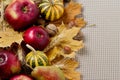 Autumn holiday Thanksgiving. Still life with pumpkin and apples, Royalty Free Stock Photo