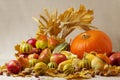 Autumn holiday Thanksgiving. Still life with pumpkin and apples, Royalty Free Stock Photo