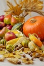 Autumn holiday Thanksgiving. Still life with pumpkin and apples, Royalty Free Stock Photo