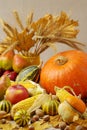 Autumn holiday Thanksgiving. Still life with pumpkin and apples, Royalty Free Stock Photo