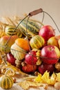 Autumn holiday Thanksgiving. Still life with pumpkin and apples, Royalty Free Stock Photo