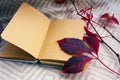 Autumn, home decor in the style of the Scandinavian Hygge. Fruit tea, red chrysanthemum and a notepad