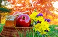 Autumn honey apple Pomegranates on table background of garden