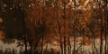 autumn horizontal banner background with autumn forest landscape, golden trees, leaves, river and sky. Autumn layout Royalty Free Stock Photo