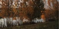 autumn horizontal banner background with autumn forest landscape, golden trees, leaves, river and sky. Autumn layout Royalty Free Stock Photo