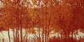 autumn horizontal banner background with autumn forest landscape, golden trees, leaves, river and sky. Autumn layout Royalty Free Stock Photo