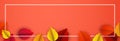 Autumn horizontal banner with colorful birch leaves