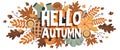 Autumn horizontal banner with sezonal elements. Autumn background Royalty Free Stock Photo