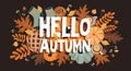 Autumn horizontal banner with sezonal elements. Autumn background Royalty Free Stock Photo