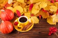 Autumn horizontal banner with yellow, red leaves, pumpkins, cup of coffee and guelder rose on brown wooden background. Royalty Free Stock Photo