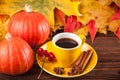 Autumn horizontal banner with yellow, red leaves, pumpkins, cup of coffee and guelder rose on brown wooden background. Royalty Free Stock Photo