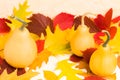 Autumn horizontal close up photography with bright colorful tree leaves and ripe pumpkins on yellow background. Royalty Free Stock Photo