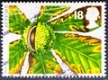 Autumn, horse chestnut, in british stamp