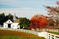 Autumn on a horse farm, Kentucky Royalty Free Stock Photo