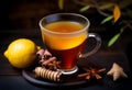 Autumn hot tea with ginger, lemon, honey and spices at dark rusty table