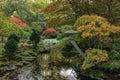 Autumn hues Japanese Garden, Japanese maple trees Royalty Free Stock Photo