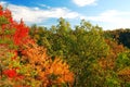 Autumn hues o a hillside Royalty Free Stock Photo