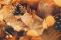 Autumn hygge. Cozy moody image of pumpkin, autumn leaves, warm lights and pine cone on yellow knitted sweater. Selective focus