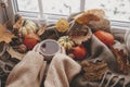 Autumn hygge. Hands in cozy sweater holding warm cup of tea with stylish pumpkins, fall leaves, lights on brown scarf on