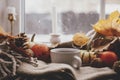 Autumn hygge. Warm cup of tea, pumpkins, fall leaves, candle, lights bokeh on cozy scarf on windowsill. Happy Thanksgiving. Cozy