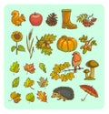 Autumn icon and objects set for design. Royalty Free Stock Photo