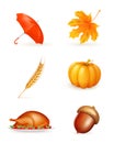 Autumn, icon set Royalty Free Stock Photo