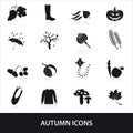 Autumn icons set eps10