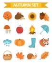 Autumn icons set flat or cartoon style.Collection design elements with yellow leaves, trees, mushrooms, pumpkin, wild Royalty Free Stock Photo