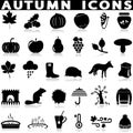 Autumn icons set vector