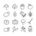 Autumn Icons Thin Lines