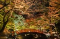 Autumn illumination of Japanese garden with maple trees and red