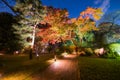 Autumn illumination Royalty Free Stock Photo