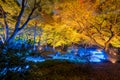 Autumn illumination Royalty Free Stock Photo