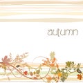 Autumn illustrated background