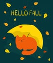 Autumn illustration a red cat sleeps under a yellow umbrella. lettering hello fall. Falling autumn leaves and raindrops Royalty Free Stock Photo