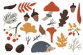 Autumn illustrations, set of fall elements, plants leaves, hedgehog and mushrooms. Cozy vector design