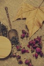 Autumn image with fallen leaves, dried tea roses, tea strands and copper spoon on mat