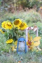 Autumn impression with sunflowers, yellow leaves, an old lantern and a vintage chair in a rural garden