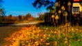 Autumn Impressions Royalty Free Stock Photo