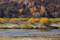 Autumn in Inner Mongolia Grassland Royalty Free Stock Photo