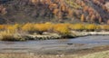 Autumn in Inner Mongolia Grassland Royalty Free Stock Photo