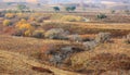 Autumn in Inner Mongolia Grassland Royalty Free Stock Photo