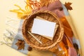 Autumn inspiration concept. Top view photo of wicker tray with paper sheet envelope pen anise yellow maple leaves pine cones and Royalty Free Stock Photo