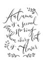 Autumn inspiration text lettering. Handwritten calligraphy. Vector.